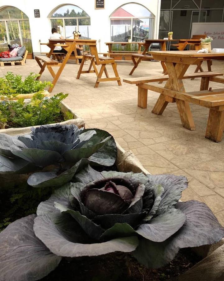 Diyeng Tani Jiwo Hostel מראה חיצוני תמונה